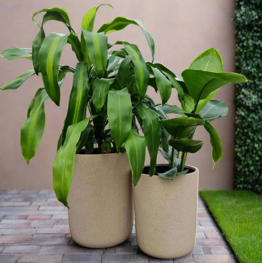 Long John Fibrecrete Pot – Set of 6