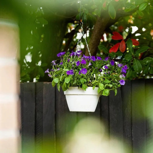 AquaTerra Self-Watering Terrazzo Hanging Basket – 32cm