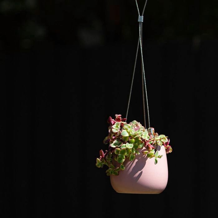 SkyBloom Matte Hanging Pot – 11cm Pink (Fits 100mm Grower Pots)