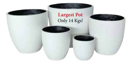 Fibrecrete Colour Egg - Set of 5