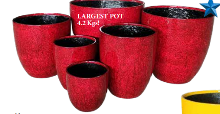 Egg Planter