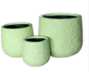 Fan Pots Solid Baby Green – Set of 3