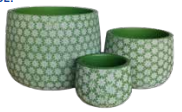 Bunge Daisy  White on Green – Set of 3