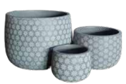 Bunge Daisy White on Grey – Set of 3