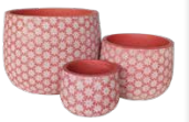 Bunge Daisy White on Pink – Set of 3