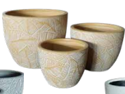Philo Leaf White on Yellow – Set of 3